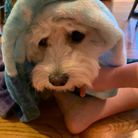 Meet your Posher, Christine - Picture 1 of 1